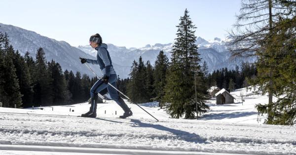 Lovak, fenyőméztetű, asra esés és egy új szerelem – a Salzkammergut varázslatos tája mindezt összekapcsolja. Képzeld el, ahogy a zöldellő dombok között vágtatnak a lovak, a szél a sörényükbe kapaszkodik, míg a fenyőméztetű illata betölti a levegőt. Az erd