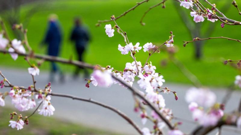 Már nincs sok hátra a fagyos napokból: a héten végre megérkezik a várva várt felmelegedés, és ekkor lép majd be az életünkbe a tavasz üde szelleme.