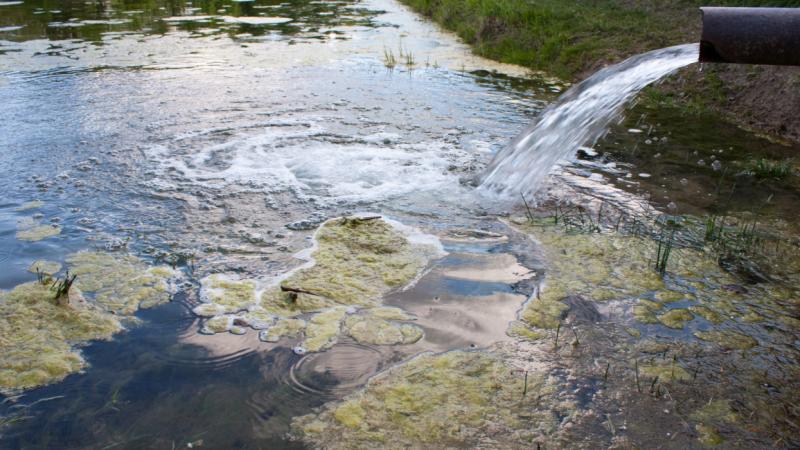 Elképesztő látvány fogadta a győrieket, amikor a város egyik népszerű tava fehér, zavaró trutyi borította be. Az okok, amelyek ehhez a szokatlan jelenséghez vezettek, meglepetésként értek mindenkit. A Pénzcentrum híre szerint a helyzet sürgős figyelmet ig